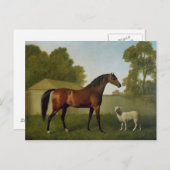 Dungannon, het bezit van Kolonel O'Kelly Briefkaart (Voorkant / Achterkant)