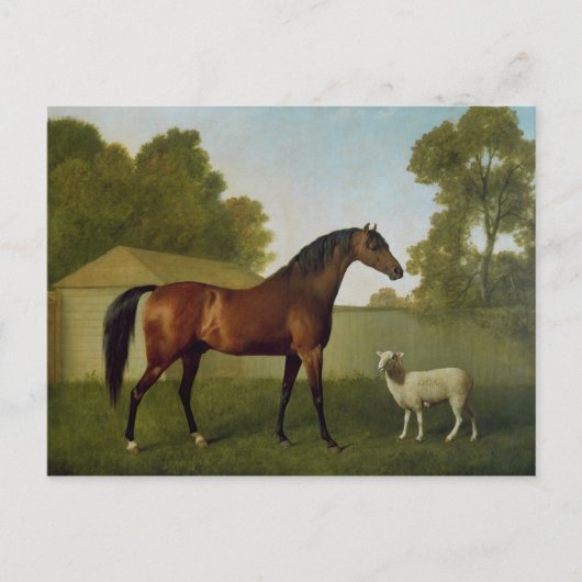 Dungannon, het bezit van Kolonel O'Kelly Briefkaart (Voorkant)