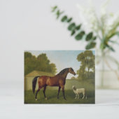 Dungannon, het bezit van Kolonel O'Kelly Briefkaart (Staand voorkant)