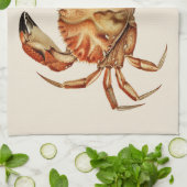 Dungeness Crab - Cancer Bellianis Theedoek (Gevouwen)
