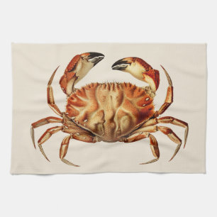 Dungeness Crab - Cancer Bellianis Theedoek