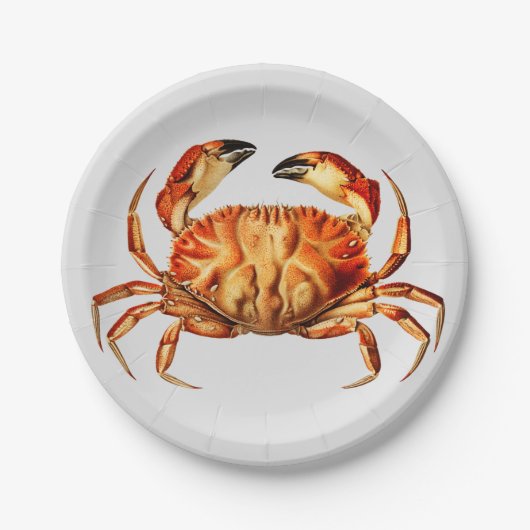 Dungeness Crab Illustratie Papieren Bordje (Voorkant)