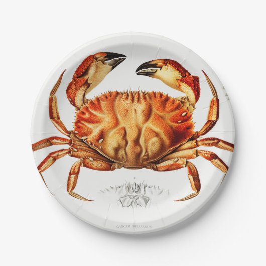 Dungeness Crab Illustratie Papieren Bordje (Voorkant)