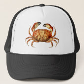  Dungeness Crab Illustratie Trucker Pet (Voorkant)
