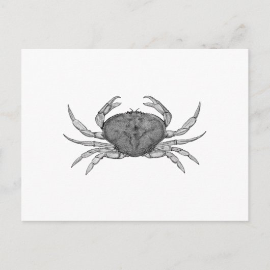 Dungeness Crab Logo (lijnkunst) Briefkaart (Voorkant)