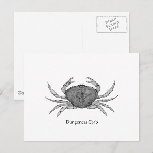 Dungeness Crab Logo (lijnkunst) Briefkaart (Voorkant / Achterkant)