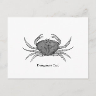 Dungeness Crab Logo (lijnkunst) Briefkaart