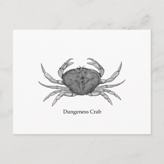 Dungeness Crab Logo (lijnkunst) Briefkaart (Voorkant)