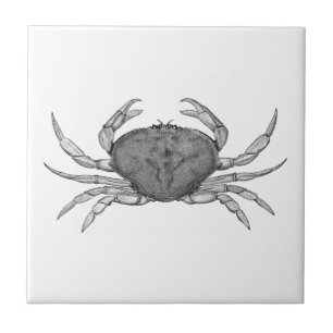 Dungeness Crab Logo (lijnkunst) Tegeltje