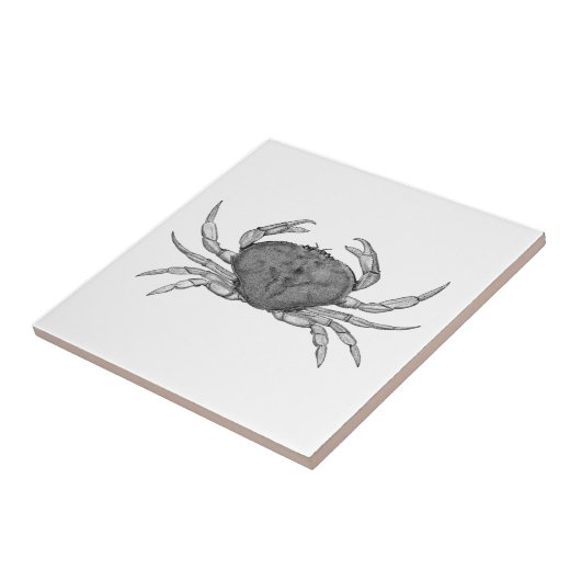 Dungeness Crab Logo (lijnkunst) Tegeltje (Zijkant)