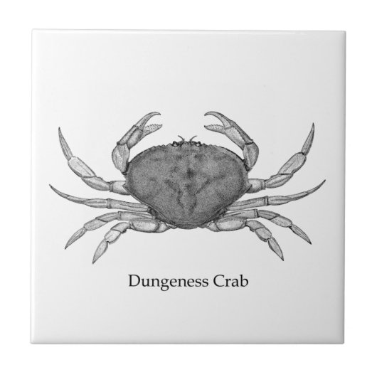 Dungeness Crab Logo (lijnkunst) Tegeltje (Voorkant)
