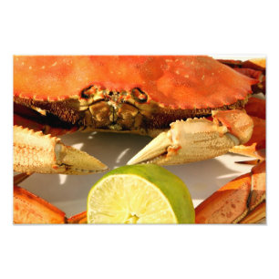 Dungeness Crab Photo Print Foto Afdruk