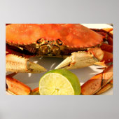 Dungeness Crab Poster (Voorkant)