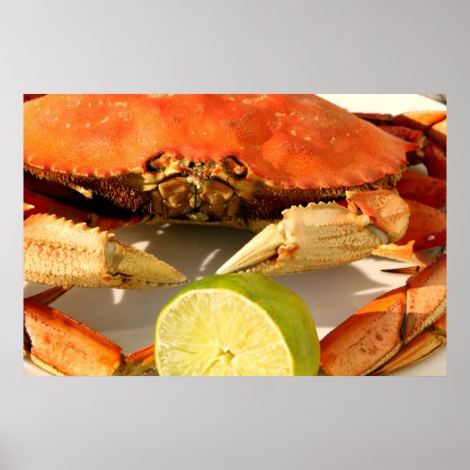 Dungeness Crab Poster (Voorkant)
