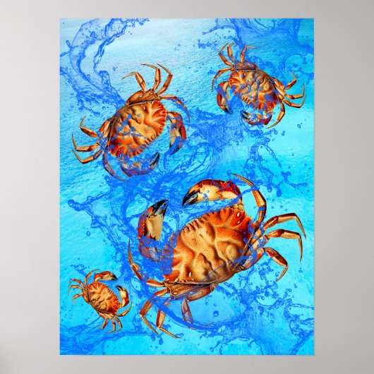 Dungeness Crabs Poster (Voorkant)