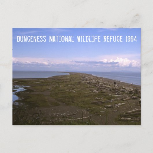 Dungeness National Wildlife Refuge Briefkaart (Voorkant)