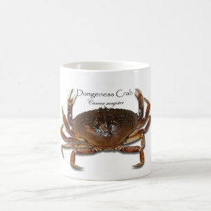 Dungeness Real, Crab 3D, Crab 3D witte Mok
