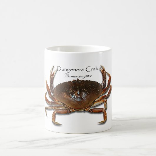 Dungeness Real, Crab 3D, Crab 3D witte Mok (Center)