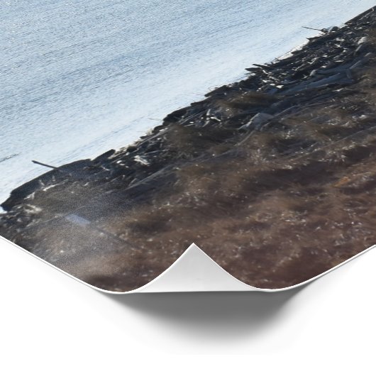 Dungeness Spit van de vuurtoren Perfect Poster (Hoek)