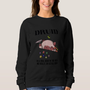Dungeon Crawler Dragon Master Dm Gaming Cat Druid Trui