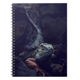Dungeons en Dragons Notitieboek