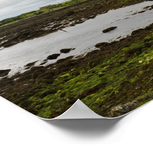 Dunguaire castle, Ierland poster (Hoek)