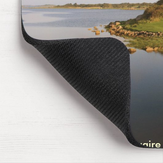 Dunguaire castle muismat (Hoek)