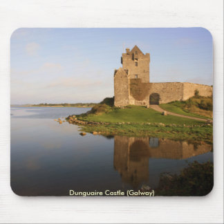 Dunguaire castle muismat