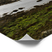 Dunguaire kasteel, Ierland poster (Hoek)