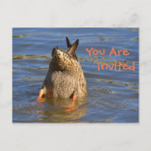 Dunking Duck Invitation Uitnodiging Briefkaart (Voorkant)