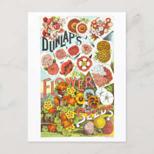 Dunlap Flower Seeds advertentie Briefkaart