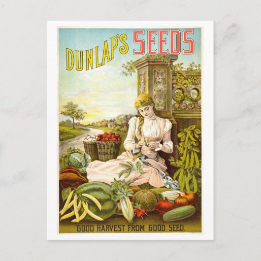 Dunlap's  Vegetable Seed Advertentie Briefkaart (Voorkant)