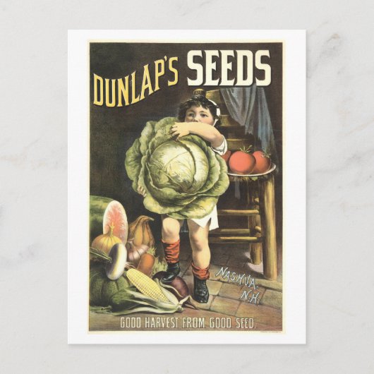 Dunlap's Vegetable Seed Advertentie Briefkaart (Voorkant)