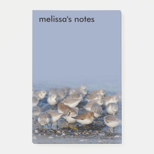 Dunlins Sanderlings Sandpipers bij Beach Post-it® Notes (Voorkant)