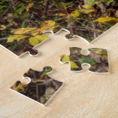 Dunloup Creek Falls | West Virginia Legpuzzel (Zijkant)