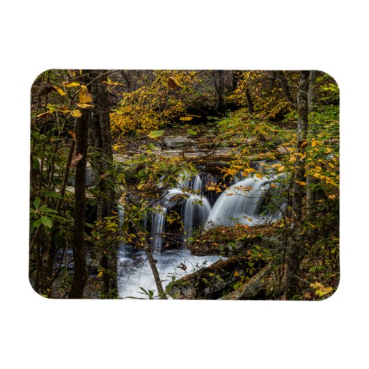 Dunloup Creek Falls | West Virginia Magneet (Horizontaal)