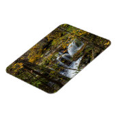 Dunloup Creek Falls | West Virginia Magneet (Linkerzijde)