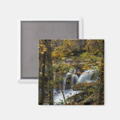 Dunloup Creek Falls | West Virginia Magneet (Voorkant / Achterkant)