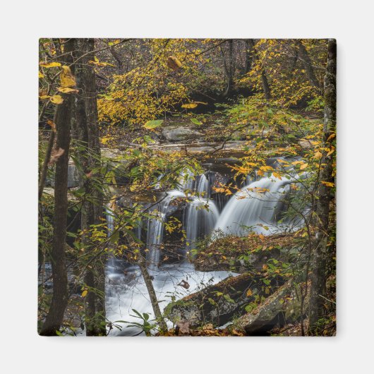 Dunloup Creek Falls | West Virginia Magneet (Voorkant)