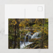 Dunloup Creek Herfsten | West Virginia Briefkaart (Voorkant / Achterkant)