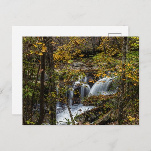 Dunloup Creek Herfsten | West Virginia Briefkaart (Voorkant / Achterkant)