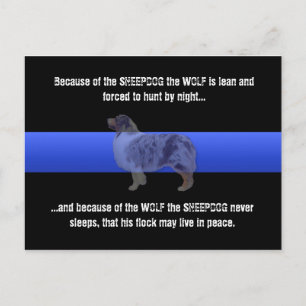 Dunne blauwe lijn De sjeepdog slaapt nooit Briefkaart