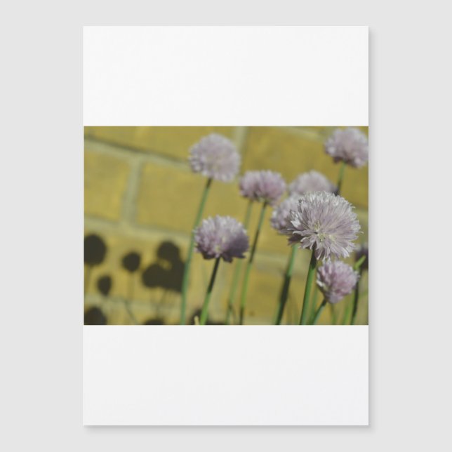 Dunne magnetische kaart  (Voorkant)