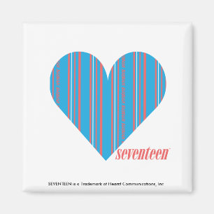 Dunne Strepen Aqua 3 Magneet