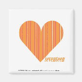 Dunne strepen Sinaasappel 3 Magneet (Voorkant)