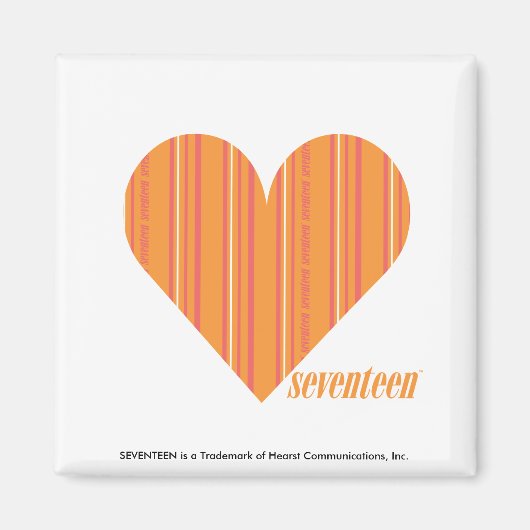 Dunne strepen Sinaasappel 3 Magneet (Voorkant)