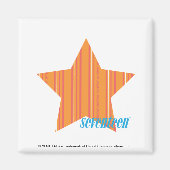 Dunne strepen Sinaasappel 4 Magneet (Voorkant)