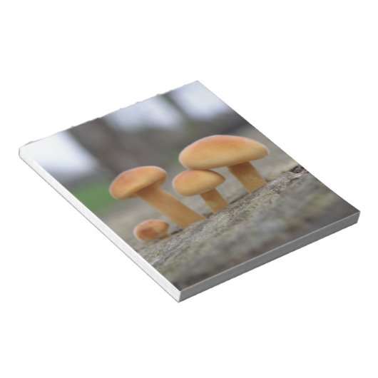 Dunne Toadstools-laptop Notitieblok (Schuin)