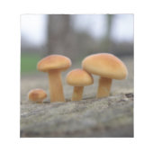 Dunne Toadstools-laptop Notitieblok (Voorkant)