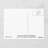 dunnedarmblauw briefkaart (Achterkant)